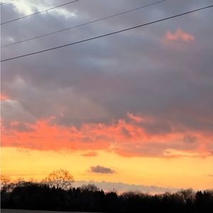 Meet your Posher, Jena